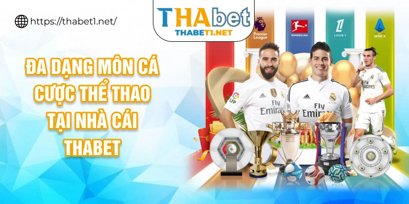 Đa dạng môn cá cược thể thao tại nhà cái thabet