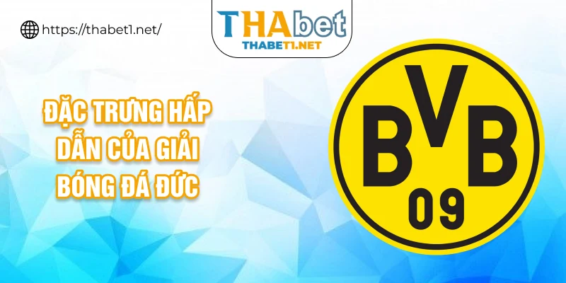 Đặc trưng hấp dẫn của giải bóng đá Đức