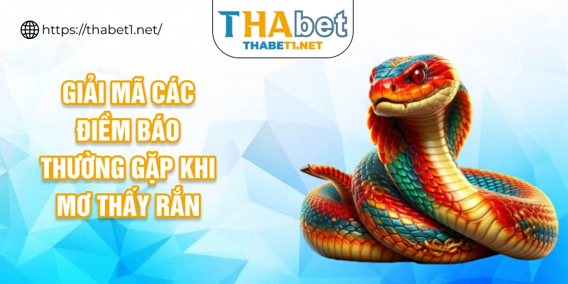 GIải mã các điềm báo thường gặp khi mơ thấy rắn
