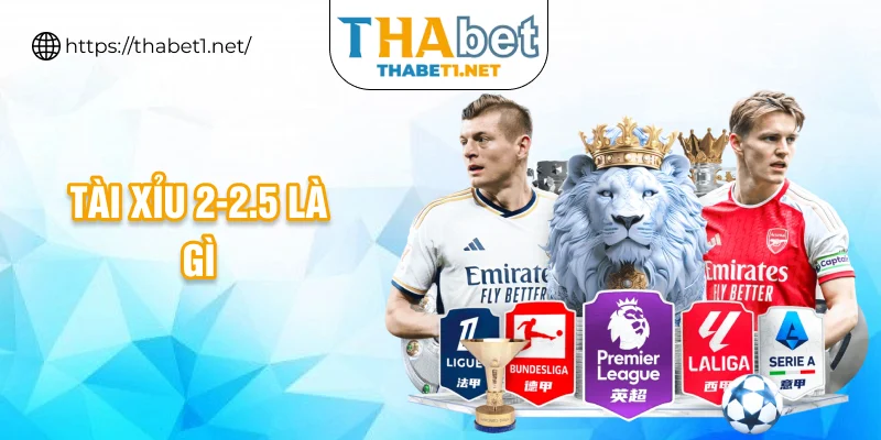 tài xỉu 2-2.5 là gì