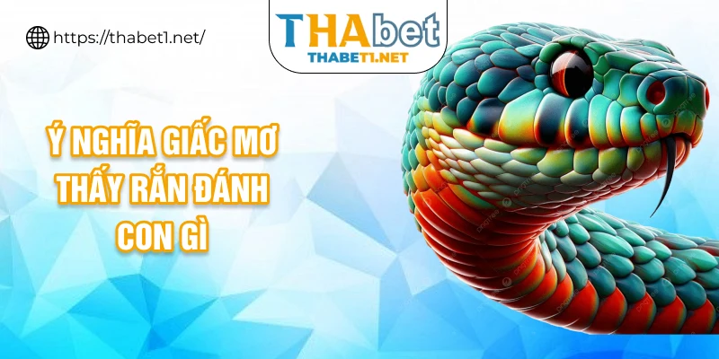 Ý nghĩa giấc mơ thấy rắn đánh con gì?